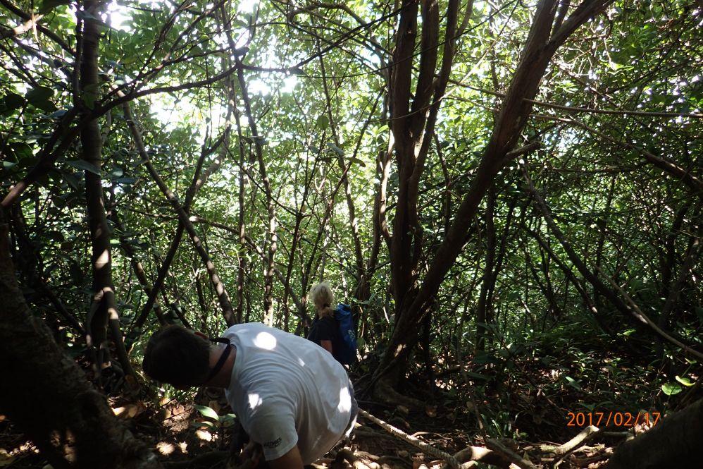 Dominica - Klettertour