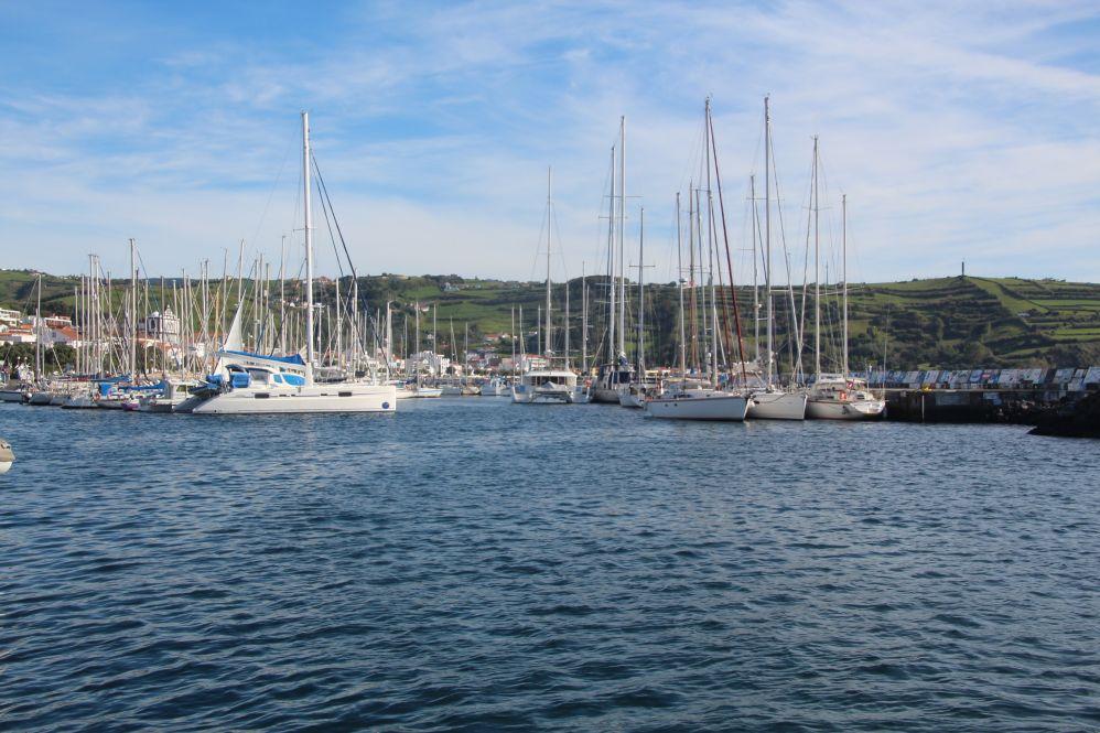 Marina Horta