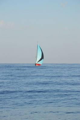 b2ap3_thumbnail_DSC_1251.JPG